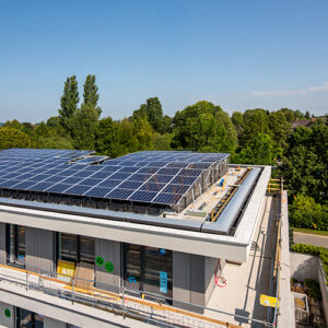 The Role of Cement Particle Boards in Sustainable Construction!
